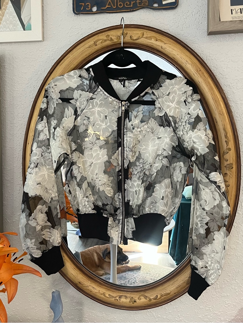 Sheer Floral Bomber Jacket with Black Trim